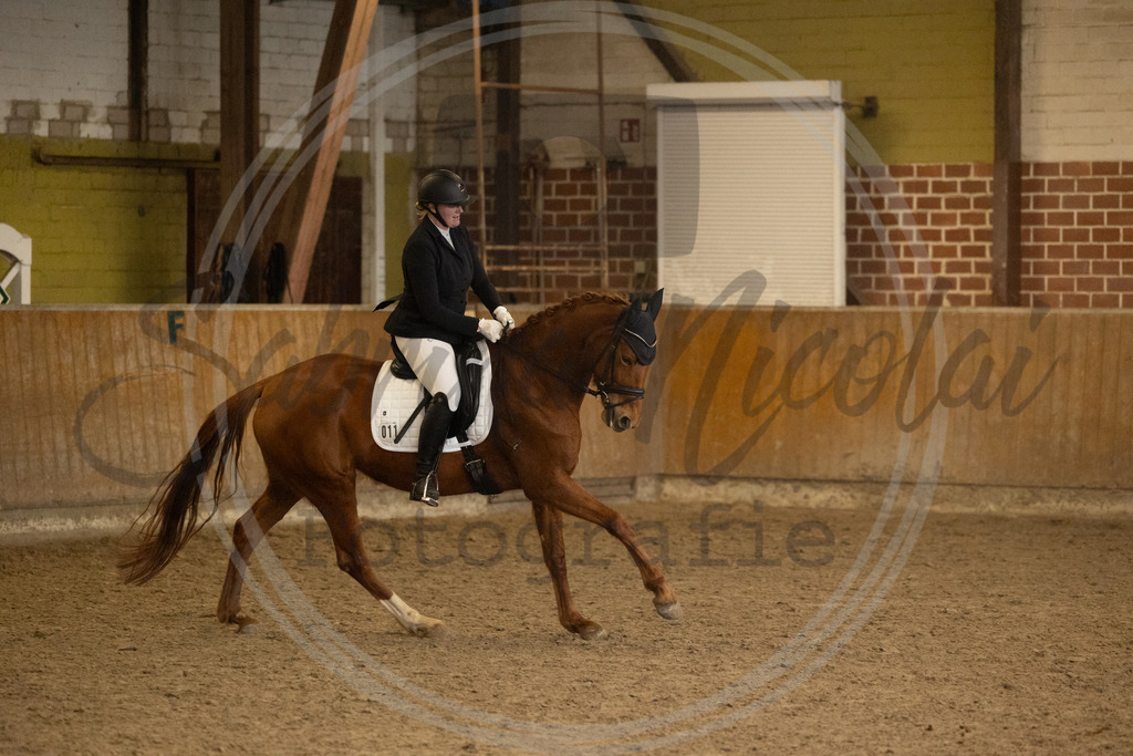 994A9391 | sabrinanicolaifotografie - Realisiert mit Pictrs.com