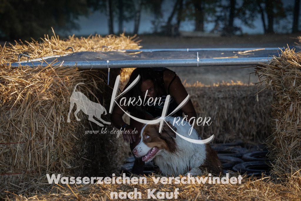 0915_ZZ92217 | kk-dogfotos