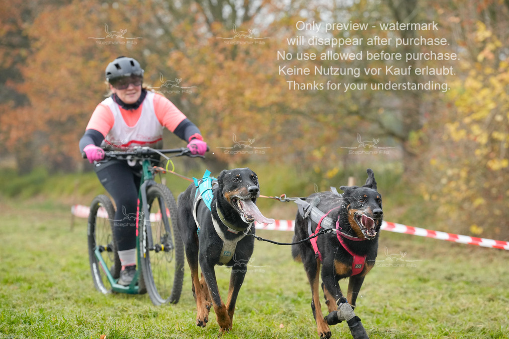 Visbeck_Sa_DS2DR2-93 | stephaniefillaphotographie - Realisiert mit Pictrs.com