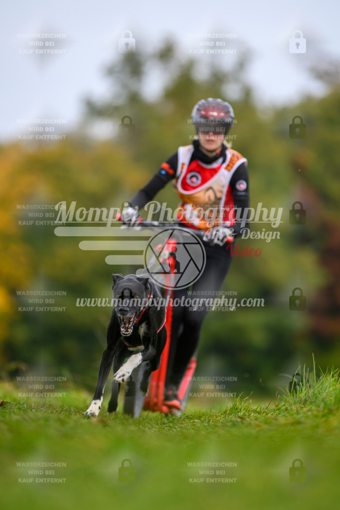 MompixPhotography_CDLBDB2025_DI_DS-83 | PayLife