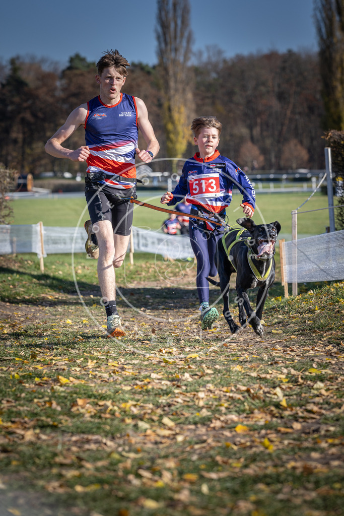 CaniXpix_DV3A7979 | Hundefotografie, Tierfotograf, Pfotenfotografie, Fotoshooting Hund, Hunde Portrait, Hundesport, Hundeportraits, Heideshooting, Hunde, Sportfotograf, Hundefotograf, Turnierhundsport, THS,  - Realisiert mit Pictrs.com