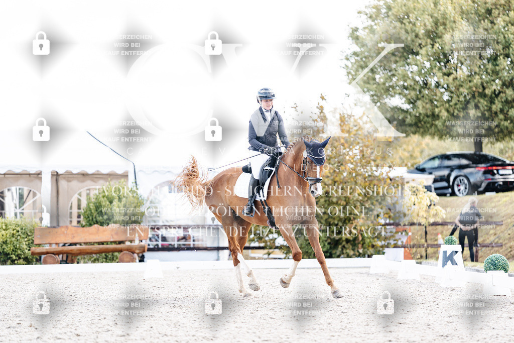CK902478 | Turnierfotografie Pferdefotografie Trier Rheinland-Pfalz Pferdesport Reitsport Tierfotografie Sportfotografie Pferdevideo Pferdevideografie Equestrianvideography equestrianphotography  - Realisiert mit Pictrs.com