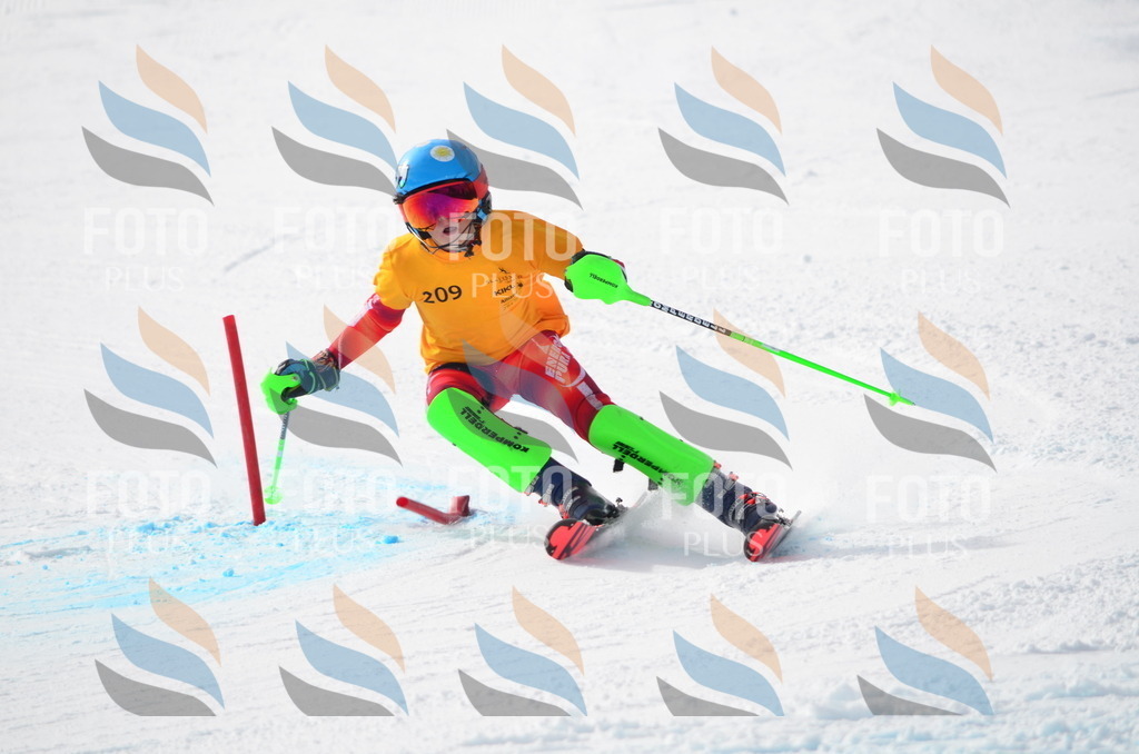 C8167 | holidayphoto