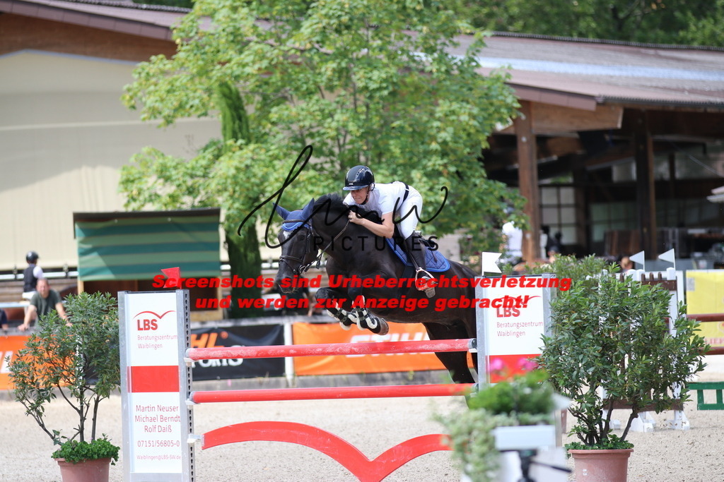 IMG_0210 | lmwpictures - Realisiert mit Pictrs.com