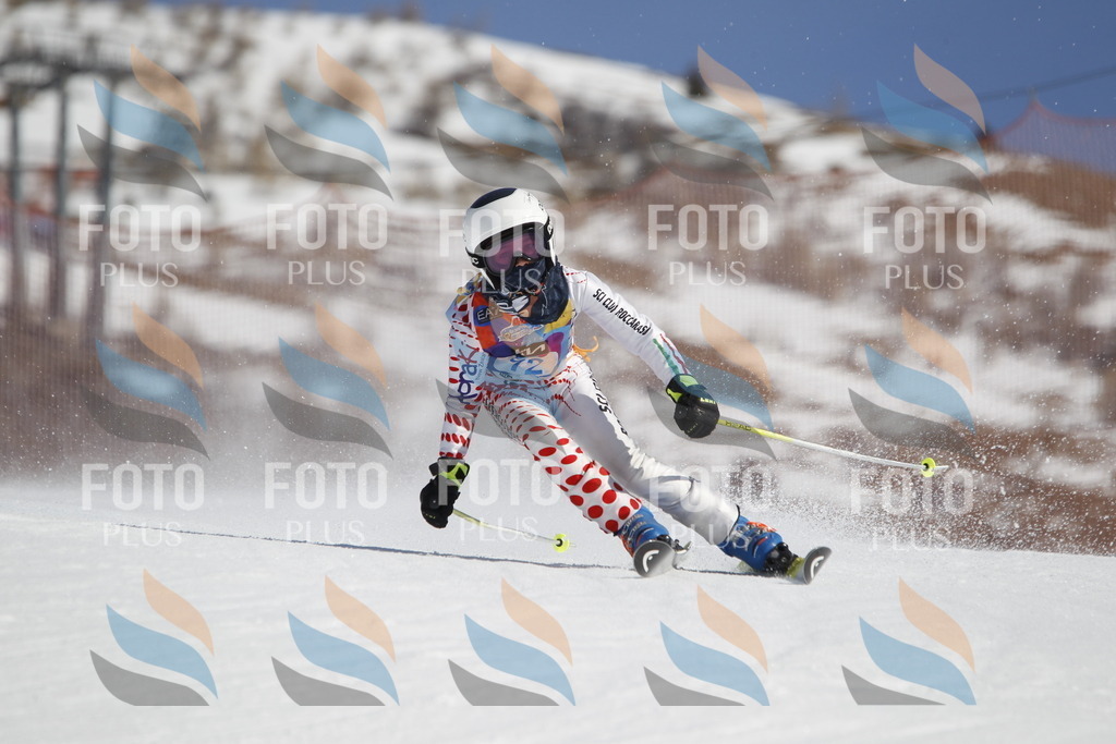 _U3G9856 | holidayphoto