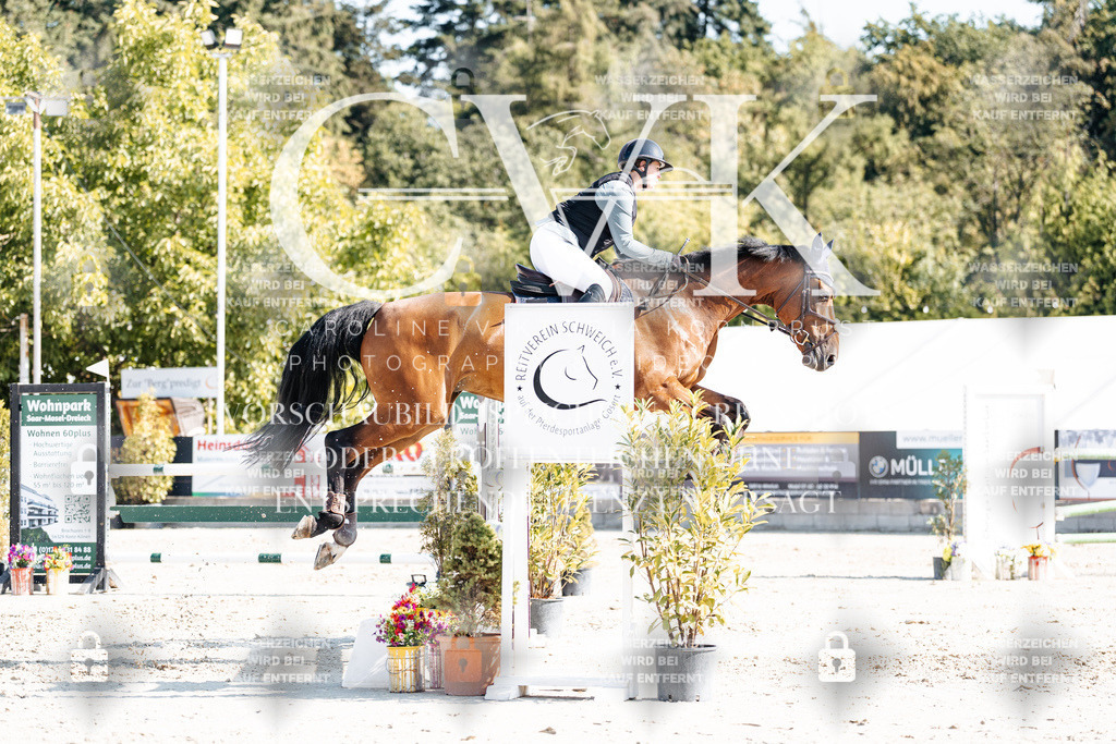 CK902320 | Turnierfotografie Pferdefotografie Trier Rheinland-Pfalz Pferdesport Reitsport Tierfotografie Sportfotografie Pferdevideo Pferdevideografie Equestrianvideography equestrianphotography  - Realisiert mit Pictrs.com