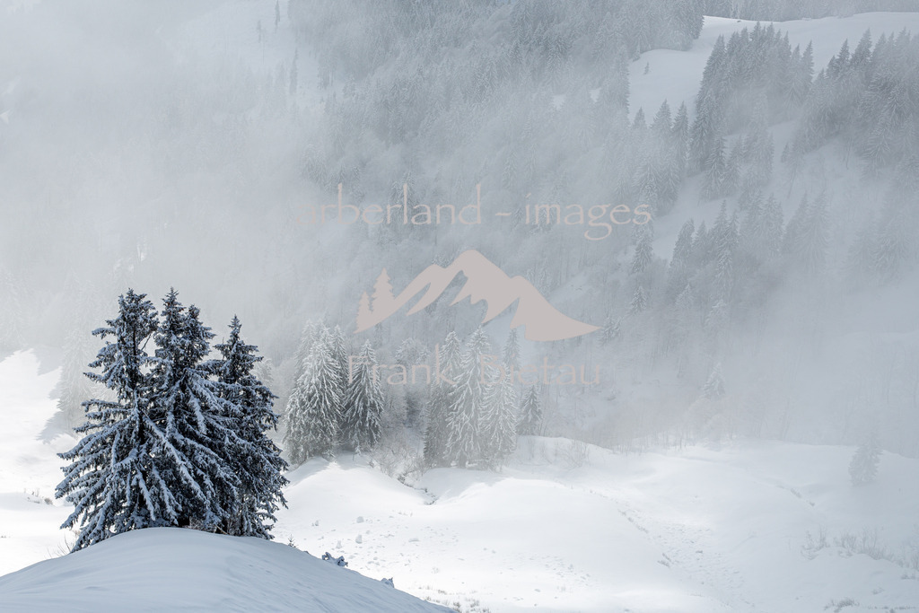 0Z5A3498 | Winter im Mittelgebirge