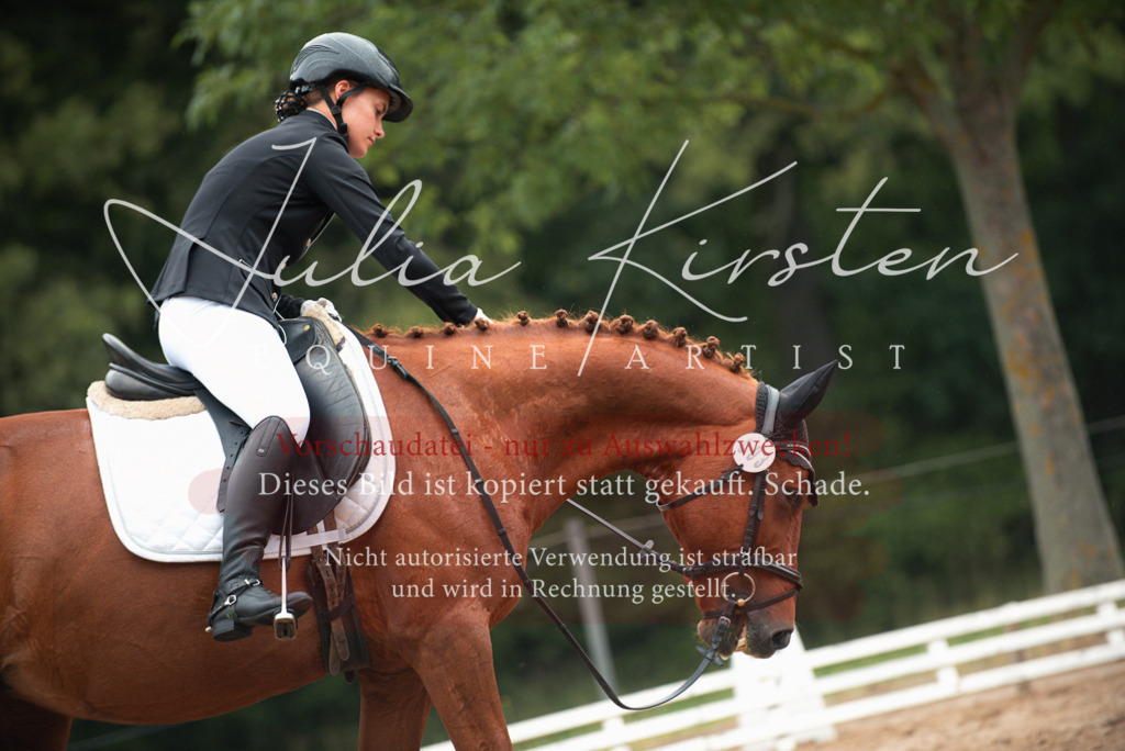 DSC_9812 | Pferde- und Turnierfotografie in Westsachsen. Pferdeportraits, Auftragszeichnungen und intuitive Kunst.