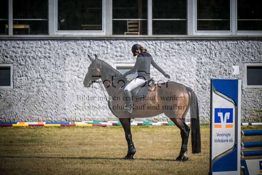 DOS_0784 | Entdecke hochwertige Reitturnierfotos von Foto Oger. Professionell, emotional und authentisch – jetzt Lieblingsmomente im Shop bestellen.Deutschlandweite Turnierfotografie. - Realisiert mit Pictrs.com