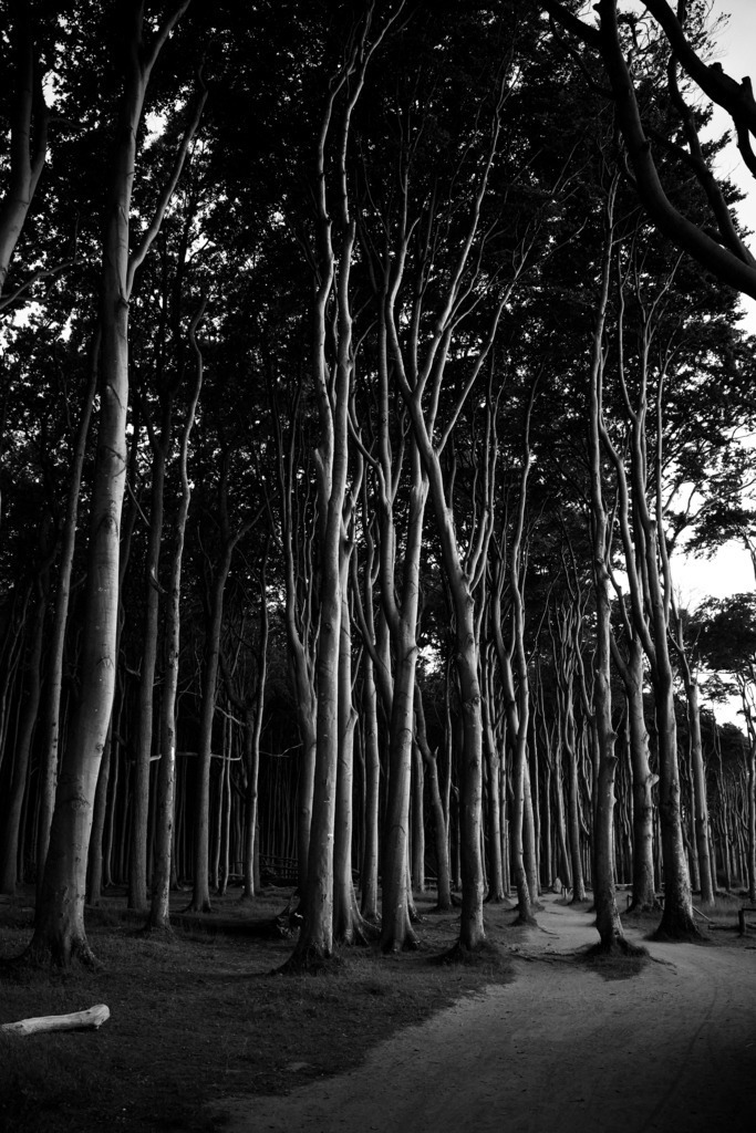 DSC07644 | frl-wunderlich - Realisiert mit Pictrs.com