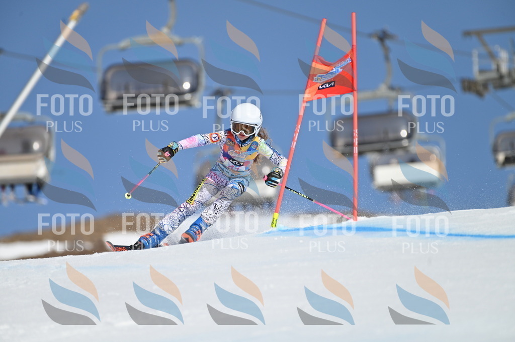 BGV_8362 | holidayphoto