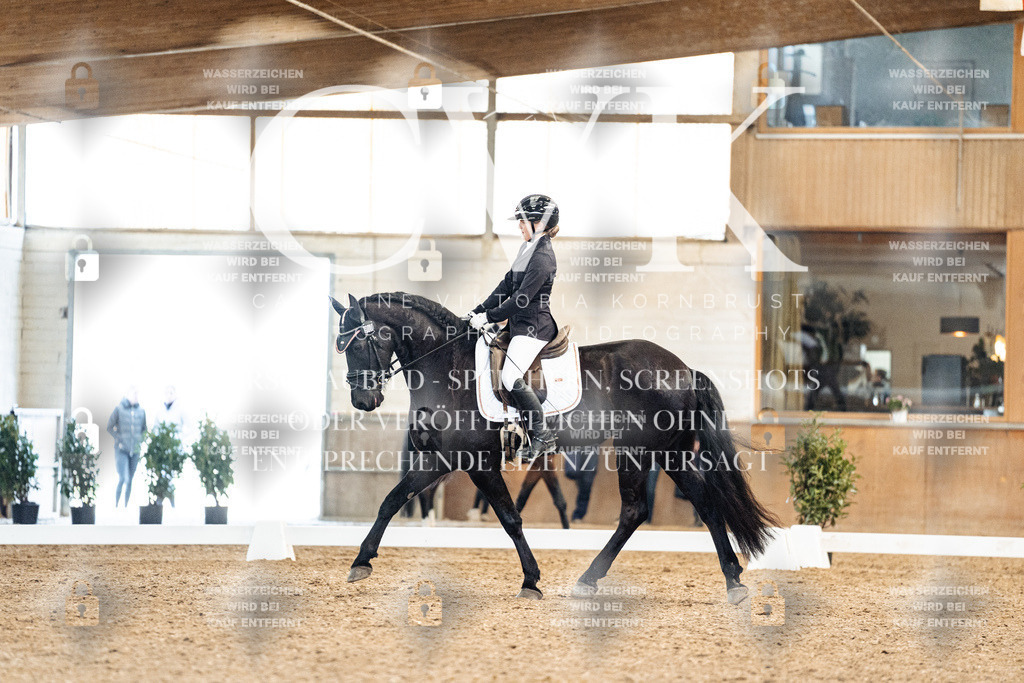 CK909742 | Turnierfotografie Pferdefotografie Trier Rheinland-Pfalz Pferdesport Reitsport Tierfotografie Sportfotografie Pferdevideo Pferdevideografie Equestrianvideography equestrianphotography  - Realisiert mit Pictrs.com
