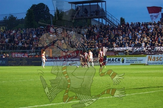 BFC Dynamo vs. Hallescher FC 131 | mythos-online-redaktion