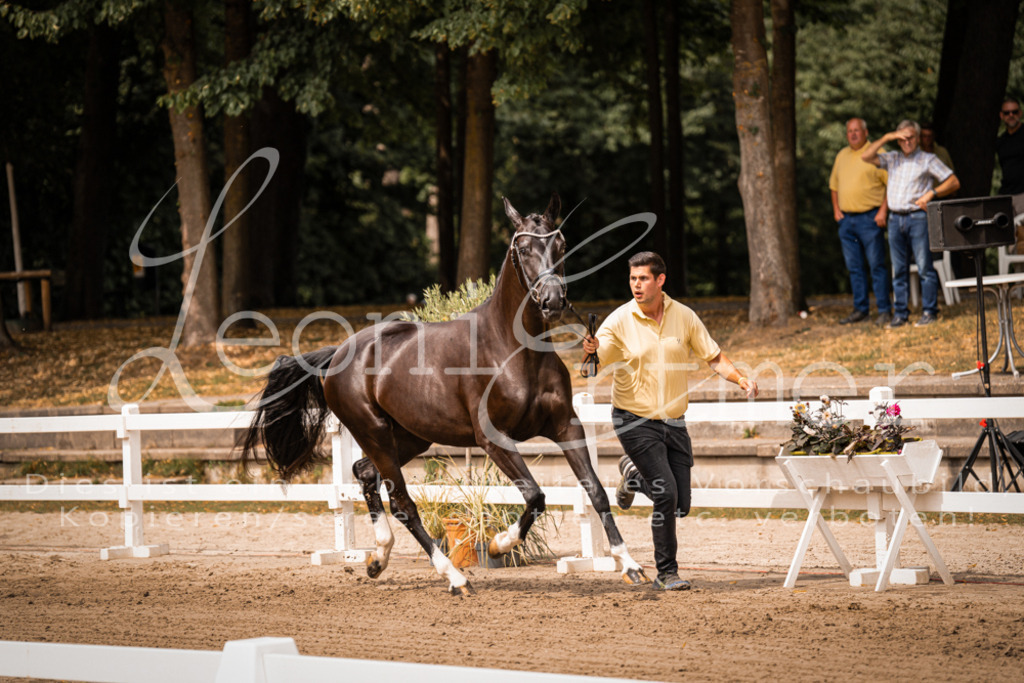 4.Fr00194 | Leoni Ertmer Photography - Realisiert mit Pictrs.com