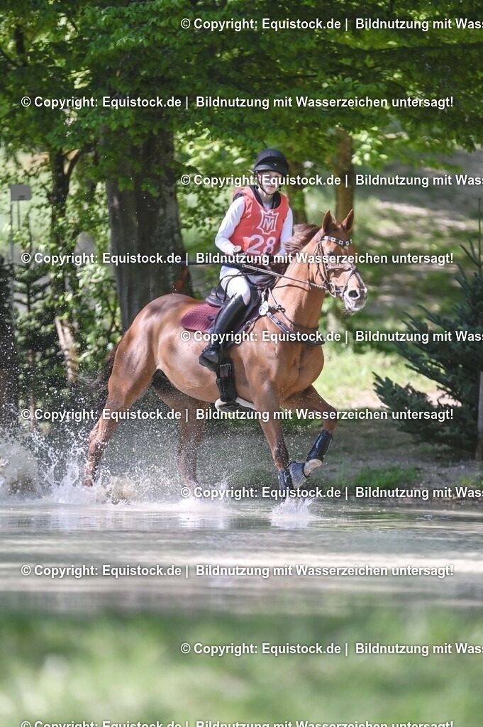 20250517_CCI2_Gelände_0770 | Foto: Thomas Hartig