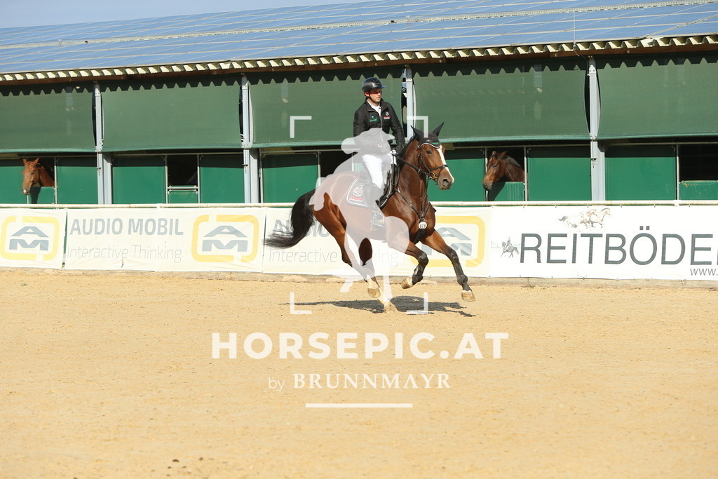 DL2Q4946 | Willkommen bei Brunnmayr - Design & Fotografie – Ihrem Spezialisten für Reitturniere und Pferdeveranstaltungen in Oberösterreich, Salzburg und Bayern! Seit über 17 Jahren sind wir leidenschaftlich dabei.