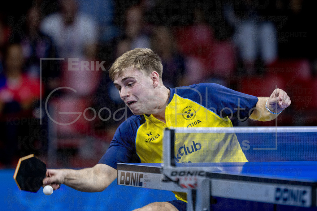 European_Championships_2024-10-20_097 | good-photos - Realisiert mit Pictrs.com