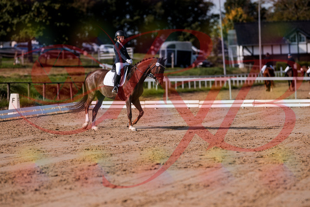 2026_10_03_Siefer-Hof_114857_Z81_88150957 | Professionelle Reitsport-, Turnier- und Eventfotografie von Robert Broda. Galerien mit ausgewählten und bearbeiteten Bildern direkt online ansehen und bestellen.