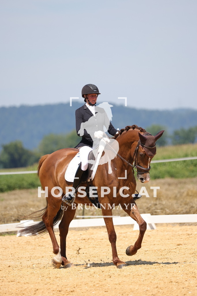 0P6A0650 | Willkommen bei Brunnmayr - Design & Fotografie – Ihrem Spezialisten für Reitturniere und Pferdeveranstaltungen in Oberösterreich, Salzburg und Bayern! Seit über 17 Jahren sind wir leidenschaftlich dabei.