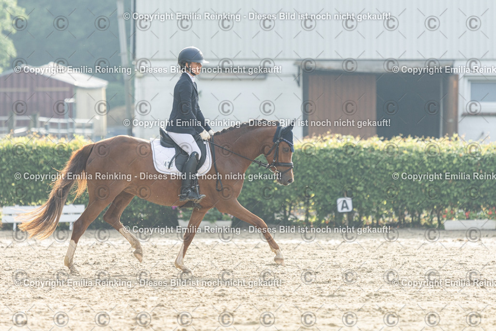 CL5A3651 | Emilia Reinking Fotografie - Realisiert mit Pictrs.com