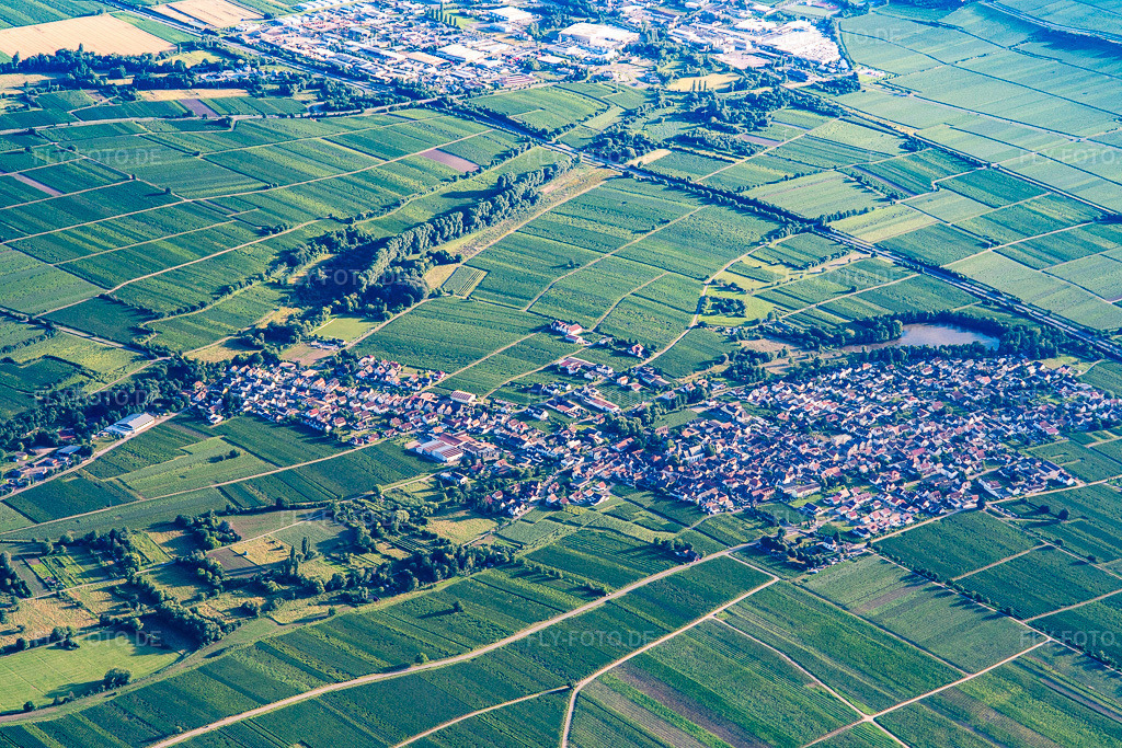 Luftbild: Ortsansicht von Nordosten in Kirrweiler im Bundesland Rheinland-Pfalz in Deutschland. Foto: IMG_142265.jpg vom 07.07.2024 durch Werner Riehm/FLY-FOTO.de
