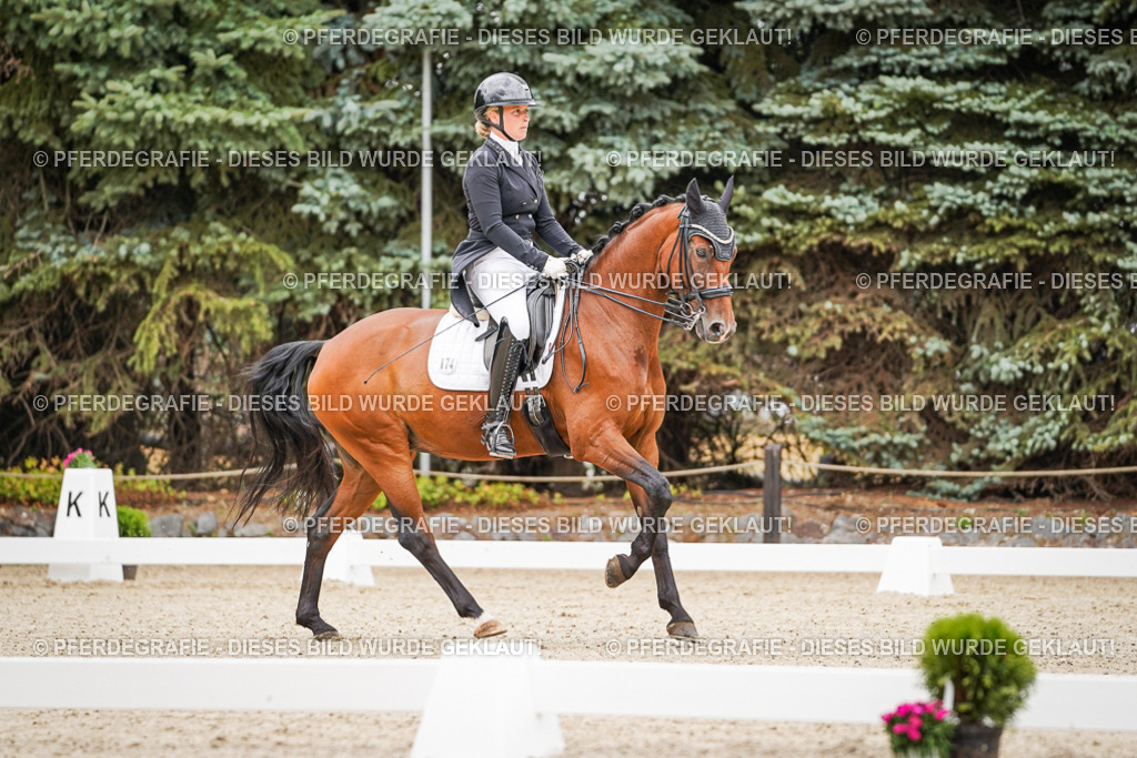 DSC07185 | Pferdegrafie