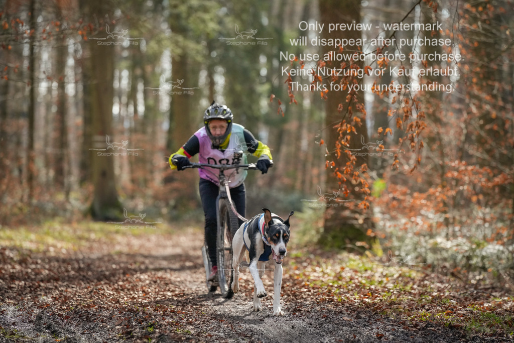 So_Scooter1-69 | stephaniefillaphotographie - Realisiert mit Pictrs.com