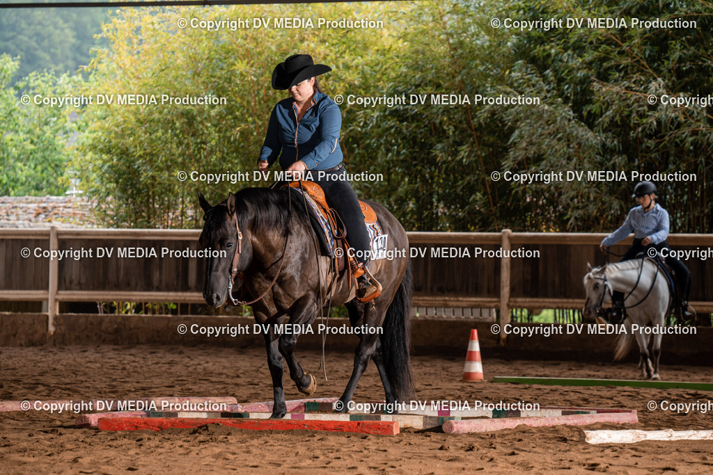 Erbach Tag 3-318 | dv-media-shop - Realisiert mit Pictrs.com