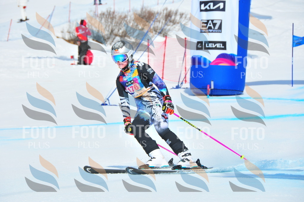 DSC_5319 | holidayphoto