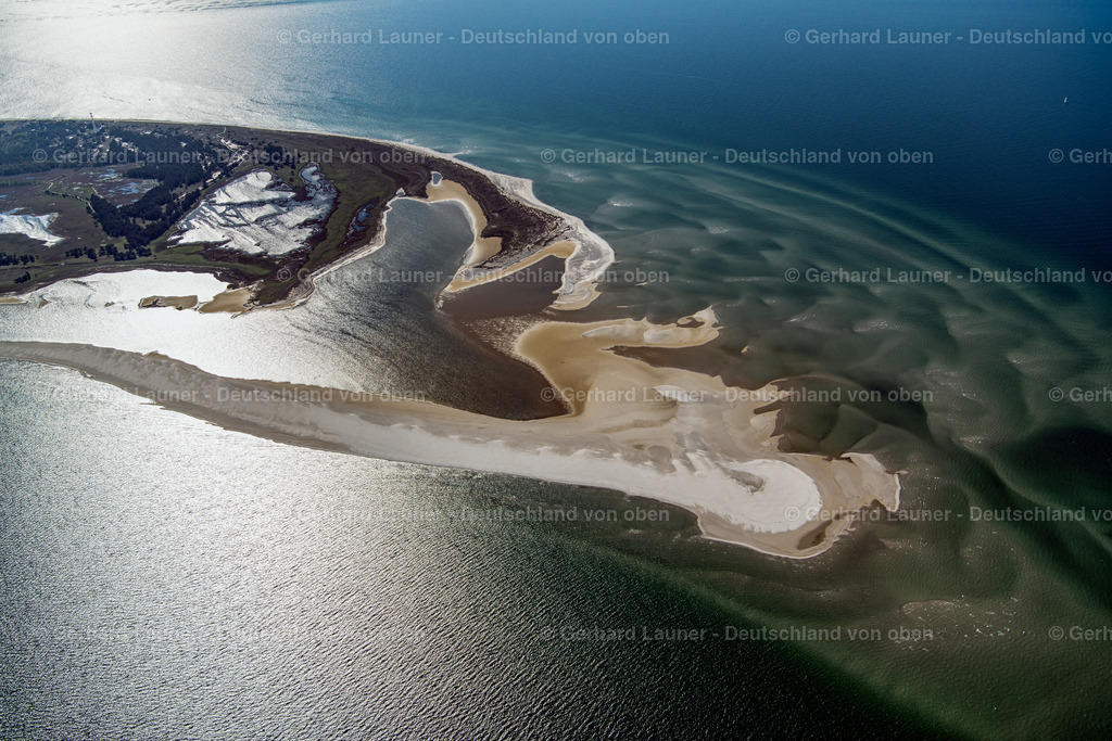 3801308 | Nordspitze Darss, Nationalpark Vorpommersche Boddenlandschaft