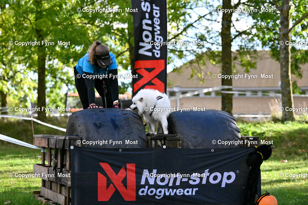 DSC_6818 | Hallo und herzlich Willkommen auf meiner Shop-Seite Fynn Most.

Ich wünsche Dir viel Spaß beim stöbern durch die Bilder, wenn Du Fragen hast oder Bilder vermisst, kannst du mir gerne eine Nachricht schreiben. - Realisiert mit Pictrs.com