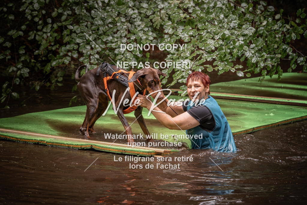 nelerasche_Wingst_Sa1330-1400_64 | nelerasche