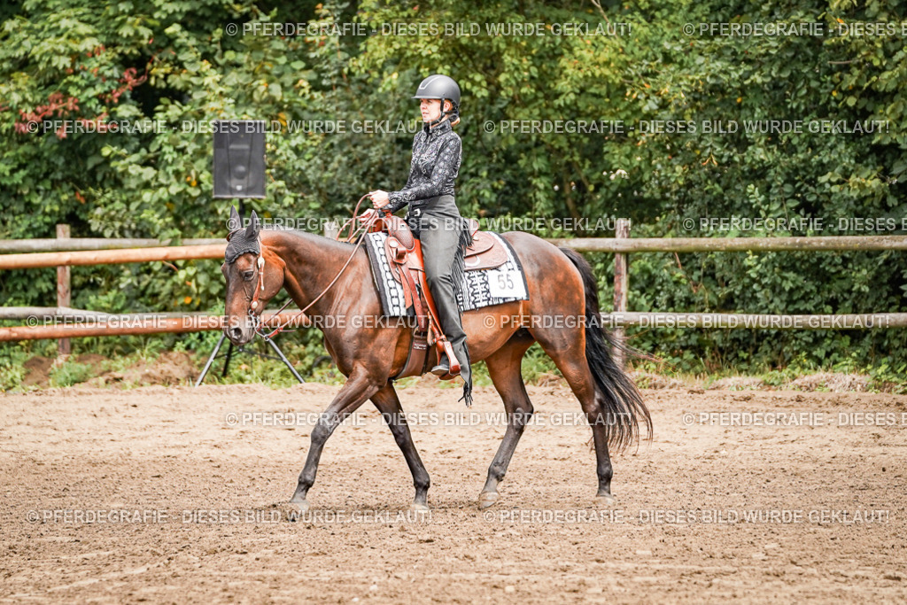 DSC04799 | Pferdegrafie