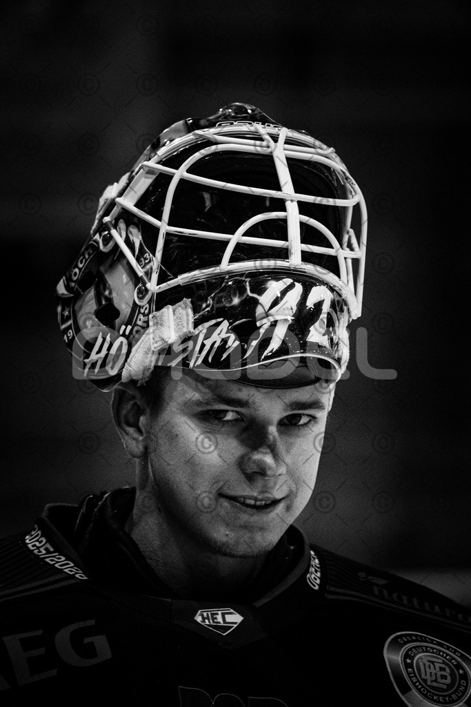 Alligators_vs_Toelz_15_02_2026-65 | Höchstadt Alligators Fotogalerie: Eishockey-Action aus Franken. Professionelle Spielfotos, Portraits & Stadionbilder zum Download. Jetzt entdecken! - Realisiert mit Pictrs.com