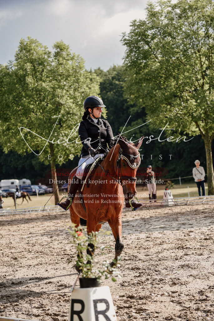 DSC_8489 | Pferde- und Turnierfotografie in Westsachsen. Pferdeportraits, Auftragszeichnungen und intuitive Kunst.
