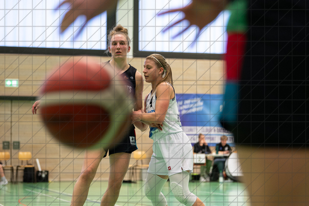 2. DBBL Nord 24/25 | 09.03.2025 | BBC OS vs. ChemCats Chemnitz | 2. DBBL Nord 24/25 | 09.03.2025 | BBC OS vs. ChemCats Chemnitz - - - - - CREDIT, www.bullenfotos.de, Martin König, Hörner Weg 40, D-49078 Osnabrück, +4917663732967, Nutzung und Weitergabe nur zu den vereinbarten Zwecken. Presseanfragen an Urheber. Alle Rechte beim Urheber. - - - - - - Realisiert mit Pictrs.com