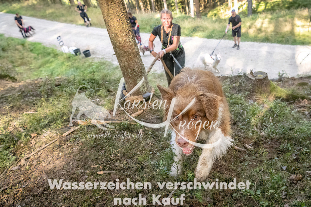 1052_ZZ93201 | kk-dogfotos