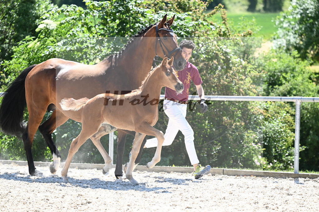 Kat-Nr. 18 SF Juwel_Engelhardt_16230385 | hf-fotografie - Realisiert mit Pictrs.com