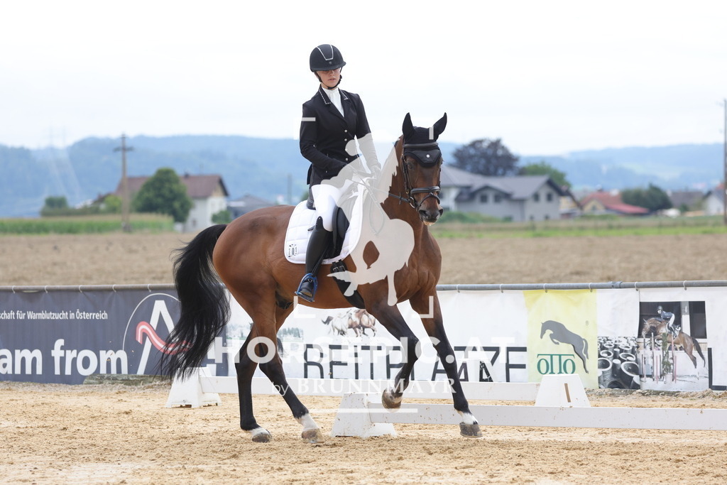 0P6A7976 | Willkommen bei Brunnmayr - Design & Fotografie – Ihrem Spezialisten für Reitturniere und Pferdeveranstaltungen in Oberösterreich, Salzburg und Bayern! Seit über 17 Jahren sind wir leidenschaftlich dabei.