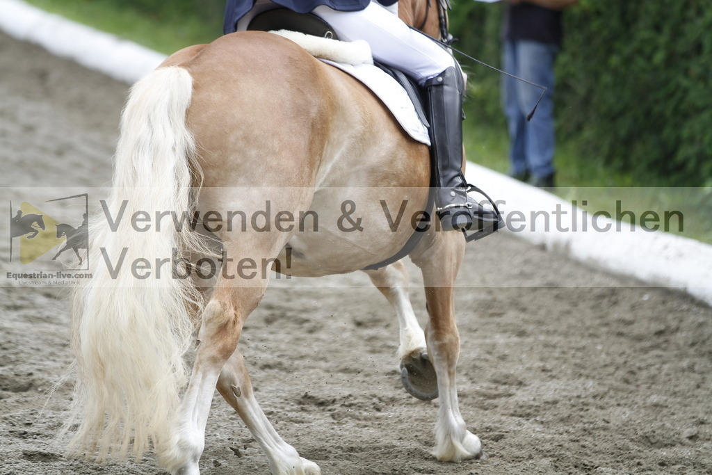 _MG_0894 | equestrian-live-com