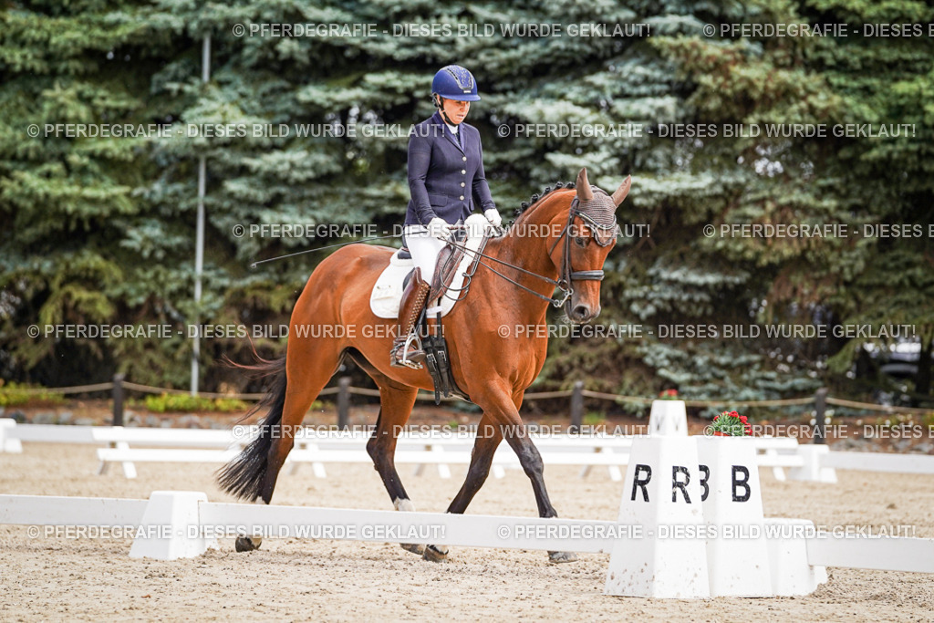 DSC03233 | Pferdegrafie