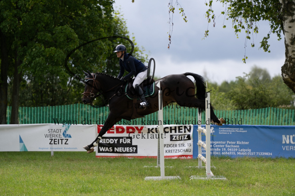 A7V03982 | Pferdefotograf