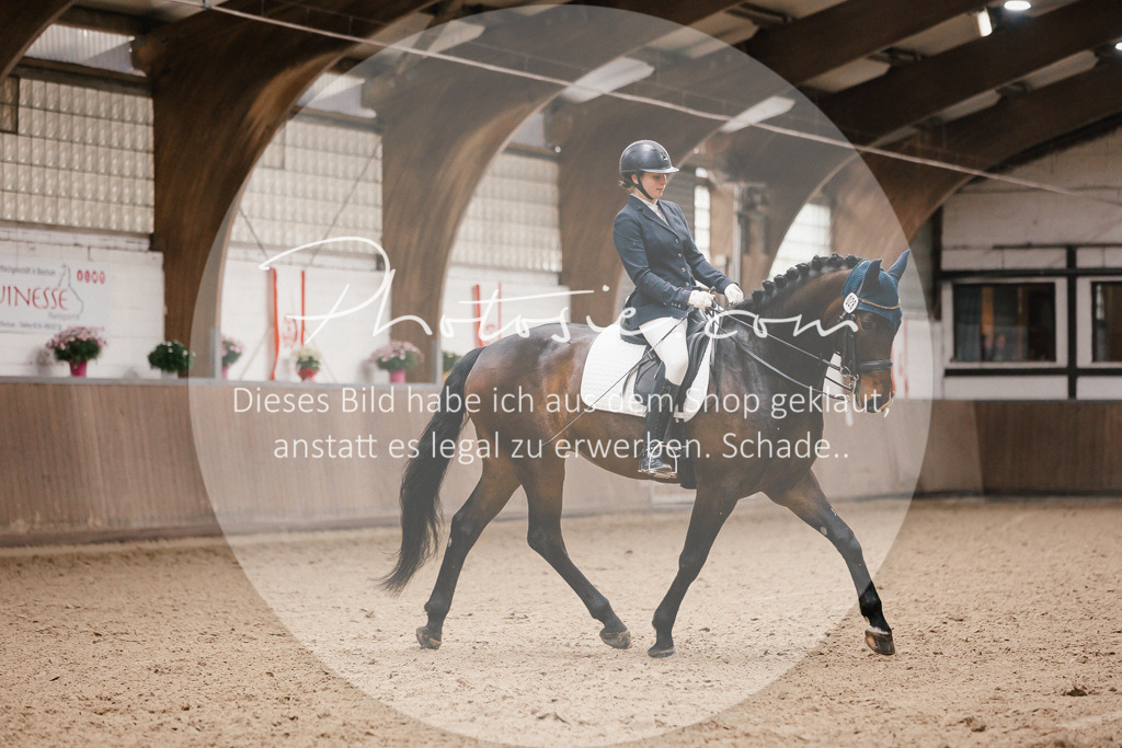 3I6A8466 | Stimmungsvolle Portraits und Reitsportfotografie im Ruhrgebiet und im Münsterland.

Pferdefotografie, Hundefotografie, Tierfotografie, Reportagen, Portraits von Tier und Mensch, Turnierfotografie in Bochum, Recklinghausen, Marl, Haltern am See, Dülmen.. - Realisiert mit Pictrs.com