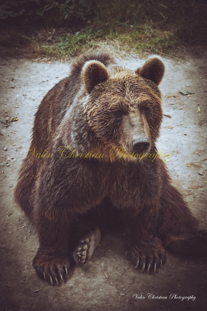 PH 10 | Christian Vulin  - Realisiert mit Pictrs.com