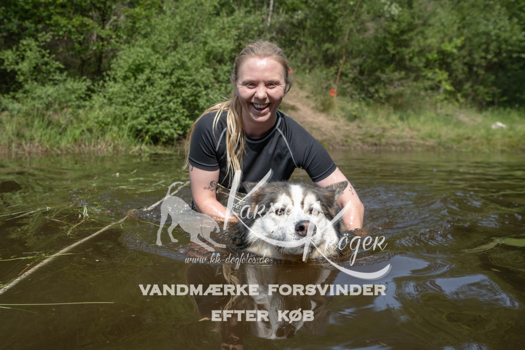 1039DKK991144 | kk-dogfotos