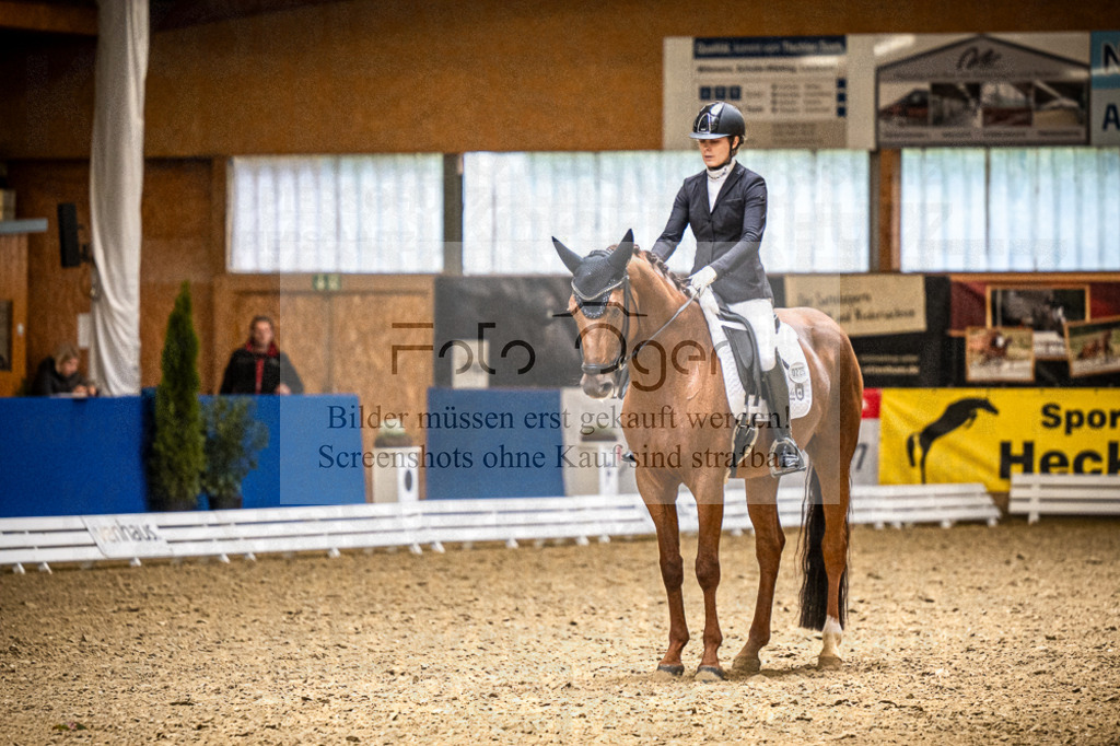 DOS_0925 | Entdecke hochwertige Reitturnierfotos von Foto Oger. Professionell, emotional und authentisch – jetzt Lieblingsmomente im Shop bestellen.Deutschlandweite Turnierfotografie. - Realisiert mit Pictrs.com