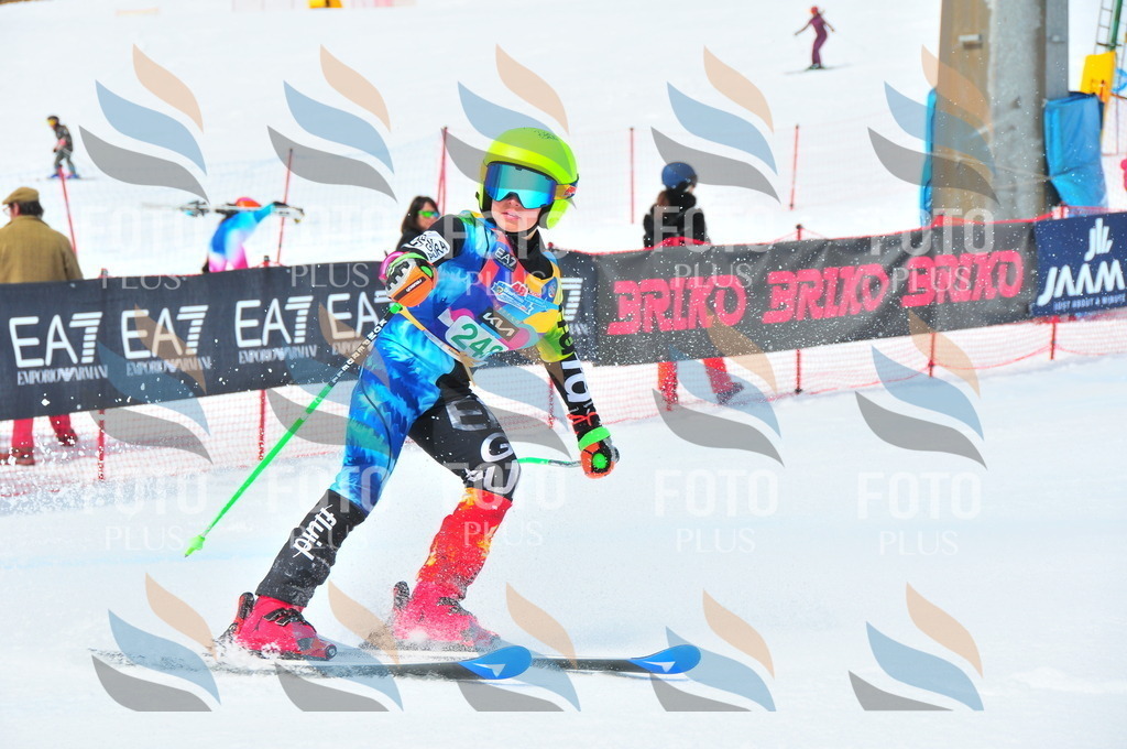 DSC_2301 | holidayphoto