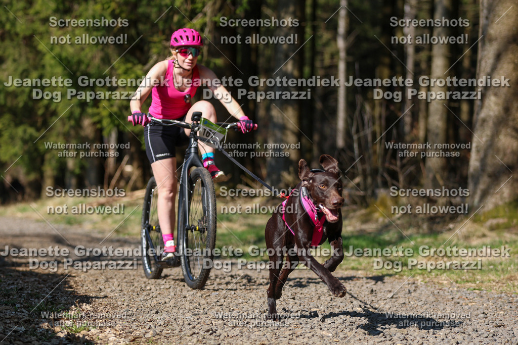 Dog Paparazzi - VCC26-131 | Dog Paparazzi Jeanette Grottendiek Fotografie & Videografie - Realisiert mit Pictrs.com