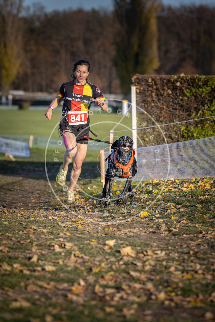 CaniXpix_DV3A3662 | Hundefotografie, Tierfotograf, Pfotenfotografie, Fotoshooting Hund, Hunde Portrait, Hundesport, Hundeportraits, Heideshooting, Hunde, Sportfotograf, Hundefotograf, Turnierhundsport, THS,  - Realisiert mit Pictrs.com