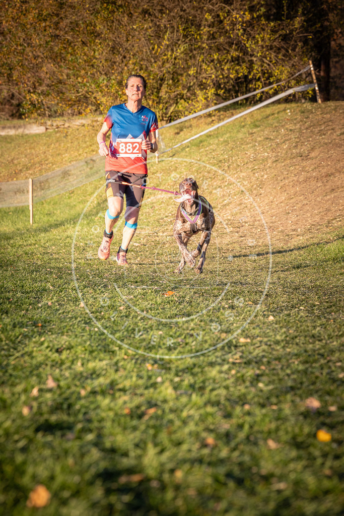 CaniXpix_0L8A1169 | Hundefotografie, Tierfotograf, Pfotenfotografie, Fotoshooting Hund, Hunde Portrait, Hundesport, Hundeportraits, Heideshooting, Hunde, Sportfotograf, Hundefotograf, Turnierhundsport, THS,  - Realisiert mit Pictrs.com